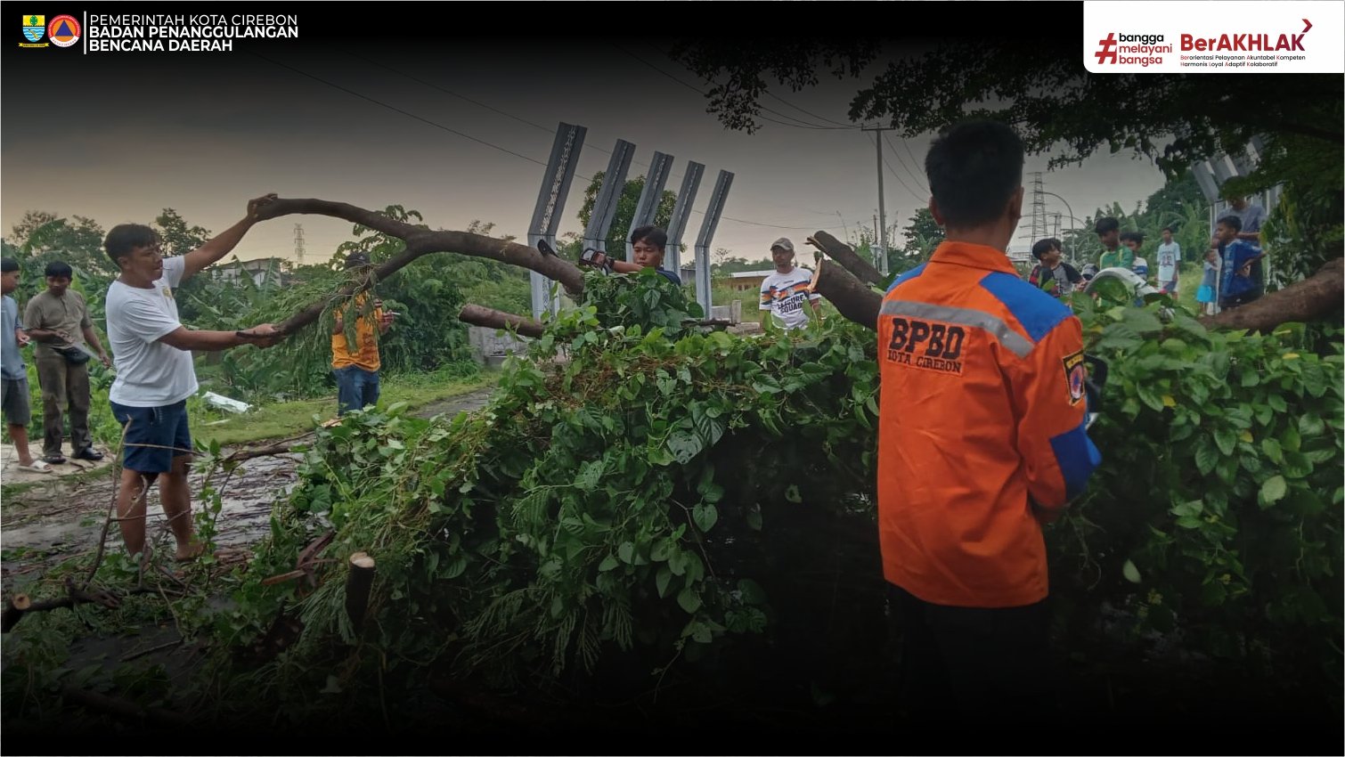 POHON TUMBANG, AKSES JALAN WARGA SEMPAT TERGANGGU